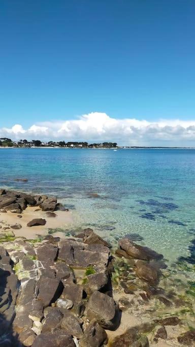 T2 Neuf Au Pied De La Plage Saint-Pierre-Quiberon Eksteriør bilde